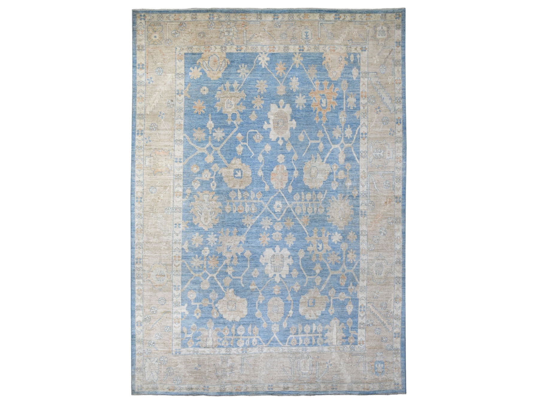Transitional Wool Hand-Knotted Area Rug 9'9